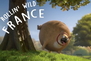 ROLLIN’ WILD - France | КРУГЛЫЕ ЖИВОТНЫЕ - Франция
