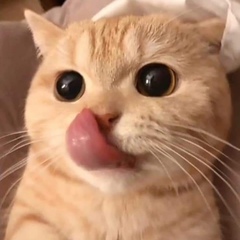 空そら 空そら