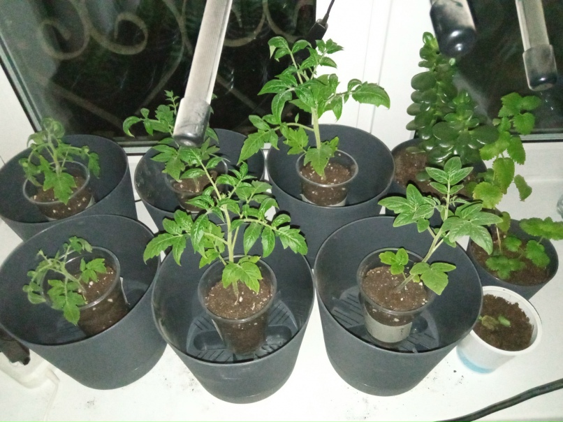 Таня Савина | Санкт-Петербург