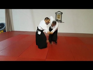 Nagy Sandor - Aikido Seminar 2016 Odorhei