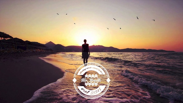 The Paper Kites Bloom ( Close To You) ( Alex Brandt