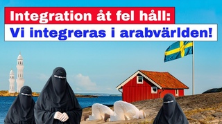Integration åt fel håll – vi integreras i arabvärlden!