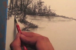 How to draw Rainforest Trees
