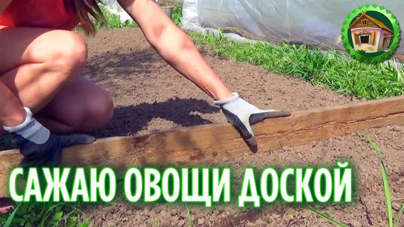 Сажаю сортовые овощи. Посадка в открытый грунт. 171