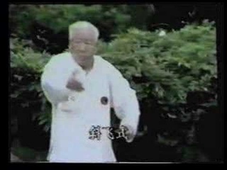 Fu Zhongwen Yang-style Form Part 2