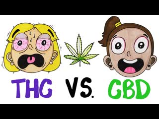 THC vs CBD: What's In Your Weed