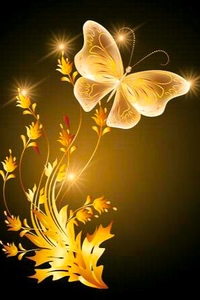 Белые бабочки с золотом. Золотая бабочка. Бабочки на золотом фоне. Золотые бабочки на черном фоне. Красивая Золотая бабочка